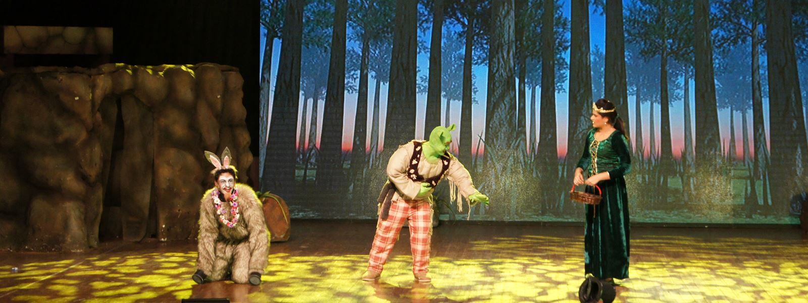 Shrek the Musical, theatre sound & Stage Lighting , Acoustic Control